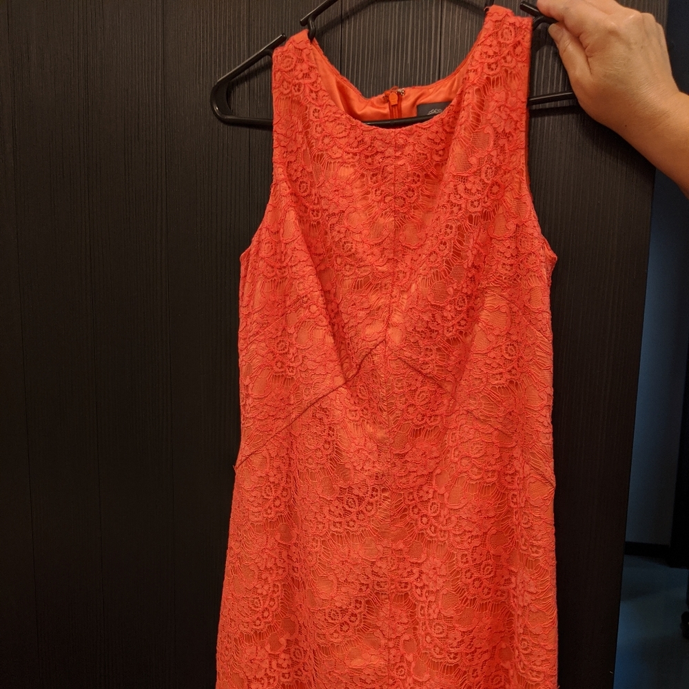 Vince Camuto Laced Pink/Orange Dress